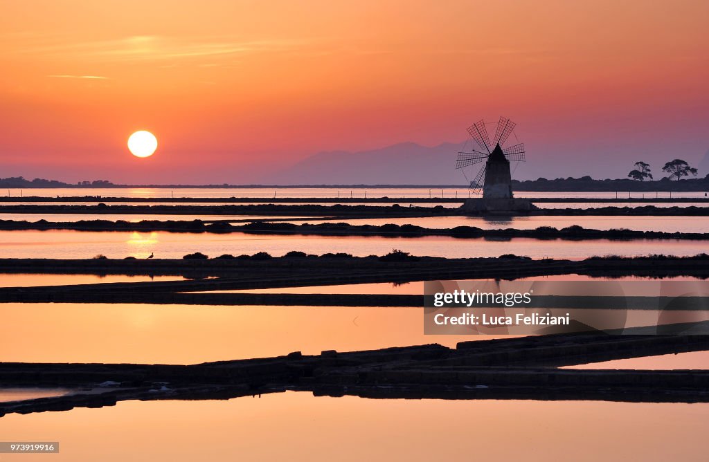 Rural landscape with windmill, Marsala, Sicily, Italy