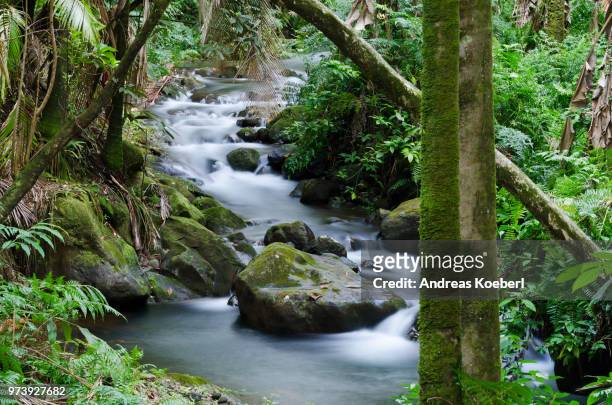 hawaiian river - hawaiian waterfalls fotografías e imágenes de stock