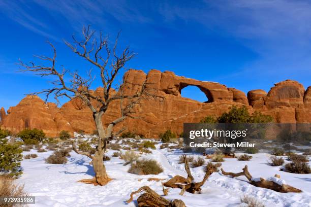 skyline arch - skyline arch stock-fotos und bilder