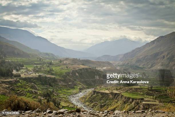 canyon colca, peru - colca stock pictures, royalty-free photos & images