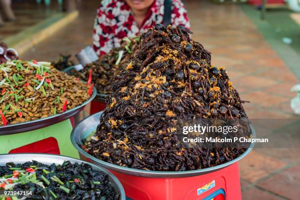 freshly deep fried tarantulas, on sale at market stall, skuon, cambodia - phnom penh stock pictures, royalty-free photos & images