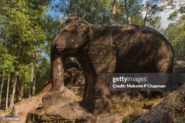 srah damrie at phnom kulen, elephant statue in the jungle, siem reap, cambodia - malcolm blight stockfoto's en -beelden