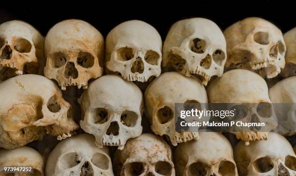 skulls at choeung ek memorial, killing fields, phnom penh - völkermord in kambodscha stock-fotos und bilder