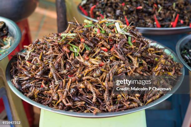 fried crickets on sale at market stall, skuon, cambodia - phnom penh stock pictures, royalty-free photos & images