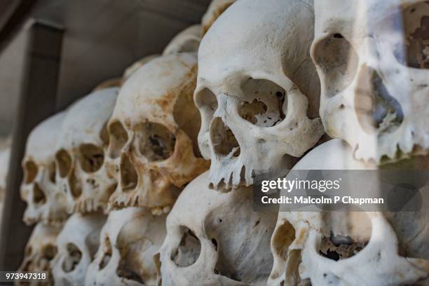 skulls at choeung ek memorial, killing fields, phnom penh - killing fields 個照片及圖片檔