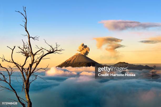 semeru volcano erupting, java, indonesia - bromo tengger semeru national park stockfoto's en -beelden