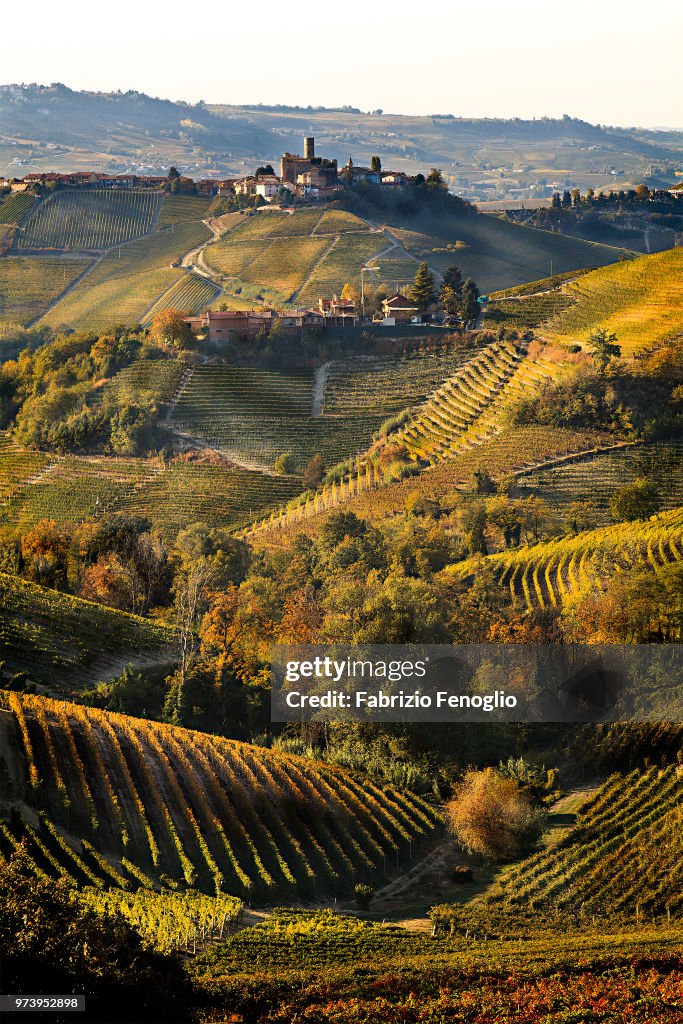 Rolling landscape of Serralunga d'Alba at sunset, Piedmont, Italy