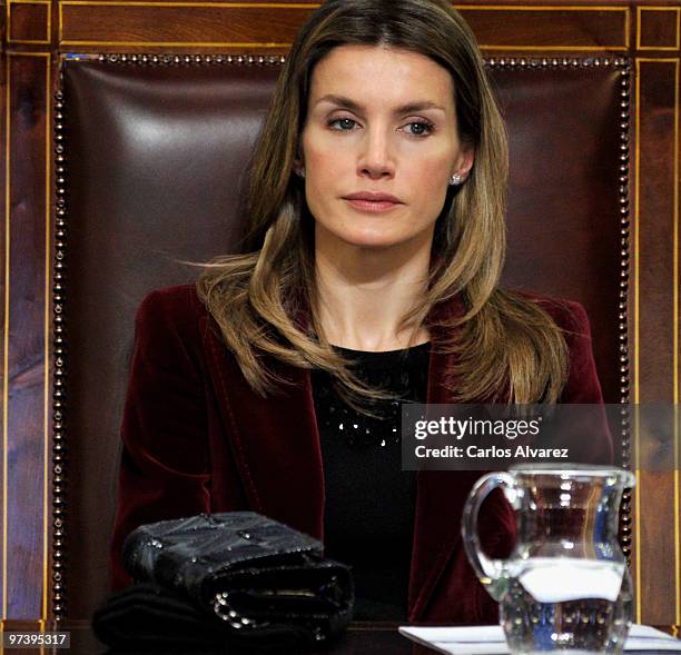 Princess Letizia of Spain attends European Business Environmental Awards at CSIC on March 3, 2010 in Madrid, Spain.