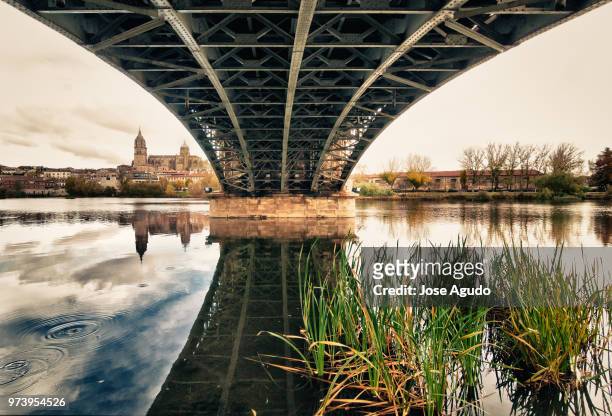 reflection of bridge and cathedral in river, salamanca, spain - salamanca stock pictures, royalty-free photos & images