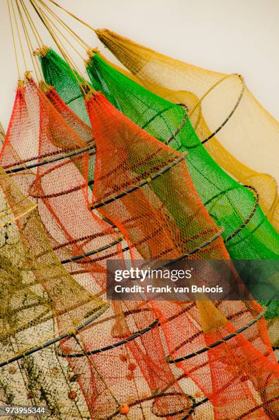 Fish Net Fish Fish Net Photos and Premium High Res Pictures - Getty Images