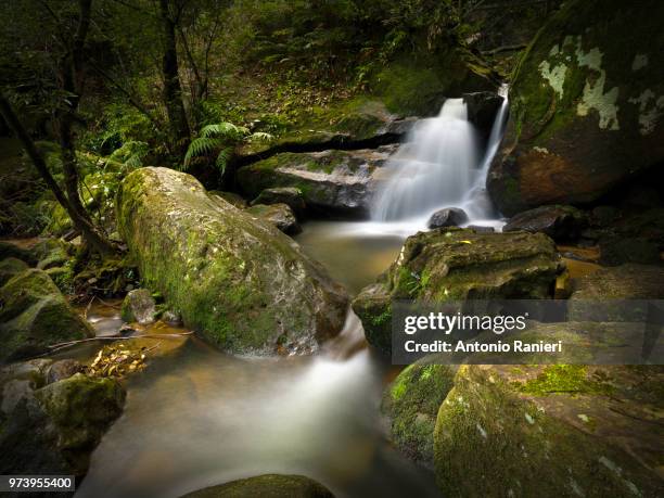 jamison valley, blue mountains national park - jamison valley stock pictures, royalty-free photos & images