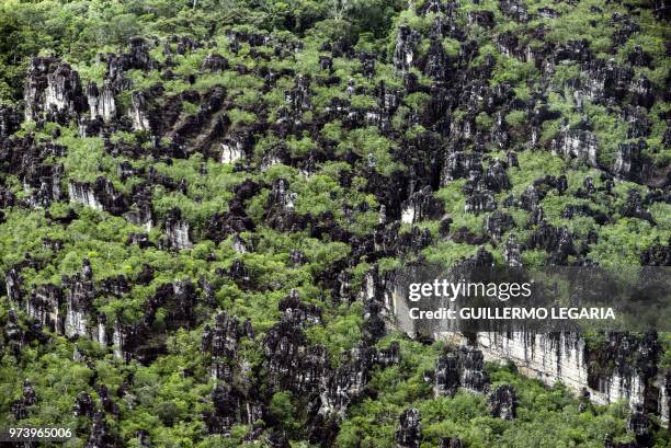 Aerial view of the Serrania de Chiribiquete, located in the Amazonian jungle departments of Caqueta and Guaviare, Colombia, on June 7, 2018. - The 2...