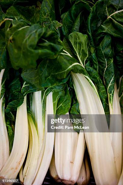 bok choy - bok choy stockfoto's en -beelden