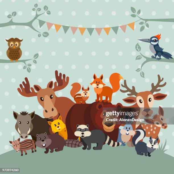 zoo party invitation - woodland border stock illustrations