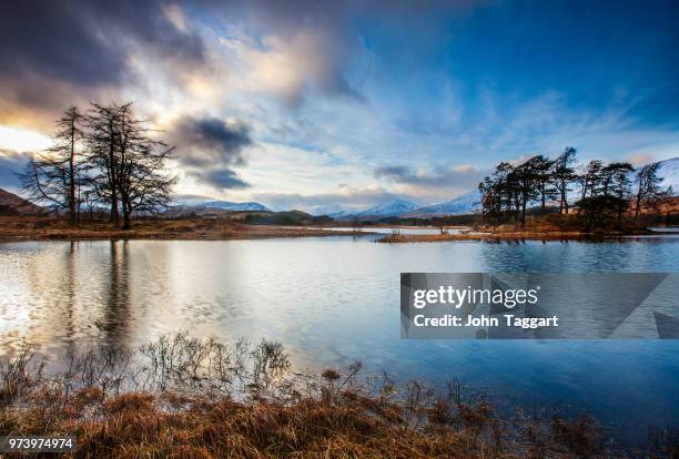 451 Tulla Stock Photos, High-Res Pictures, and Images - Getty Images