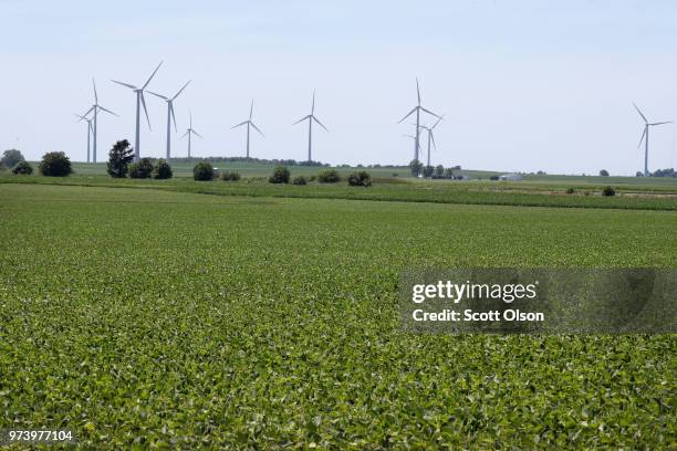 Soybeans grow in a field on June 13, 2018 in Dwight, Illinois. The condition of U.S. Corn and soybean crops in most regions is far outpacing last...