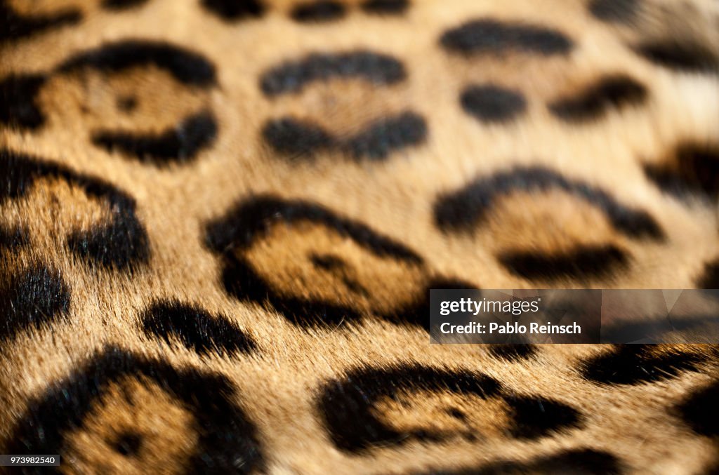 Spots that disappear