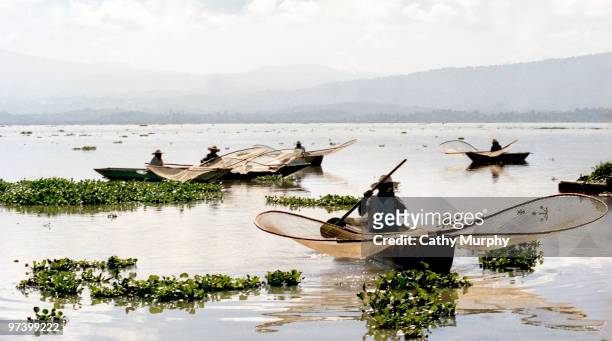 Butterfly fishermen on Lake Patzcuaro, in the state of Michoacan, work with their distinctive nets, Mexcio, 2003.