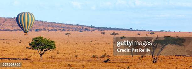 balloon ride in the serengeti - pat reilly foto e immagini stock