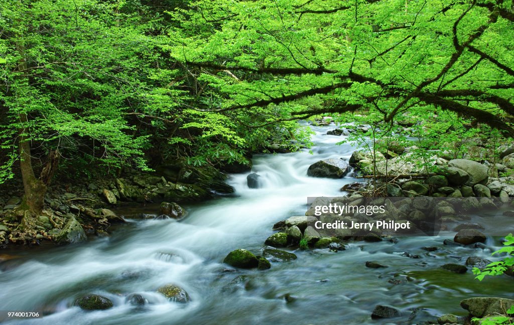 Middle Prong, Townsend, Tennessee
