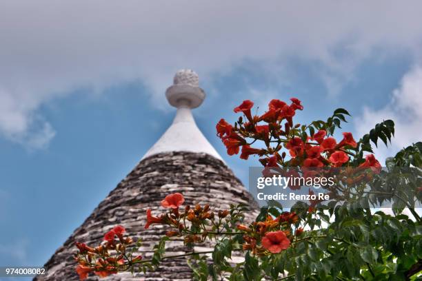 alberobello,italy - conical roof stock pictures, royalty-free photos & images