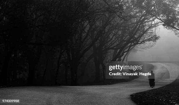 man walking alone on empty road under trees in fog, western ghats, india - western ghats stock-fotos und bilder