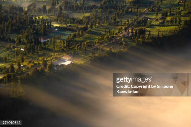 rays of light at sunrise from cemorolawang village, east java, indonesia. - copyright by siripong kaewla iad stock pictures, royalty-free photos & images