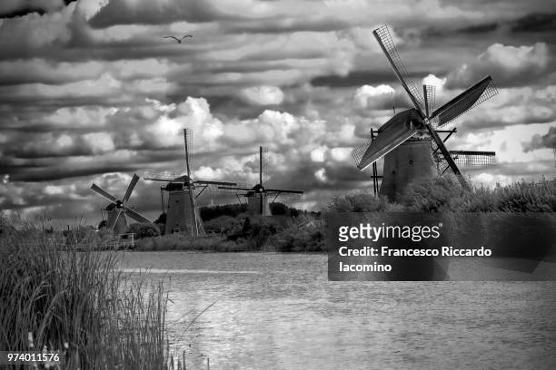 widmills in holland - iacomino netherlands foto e immagini stock