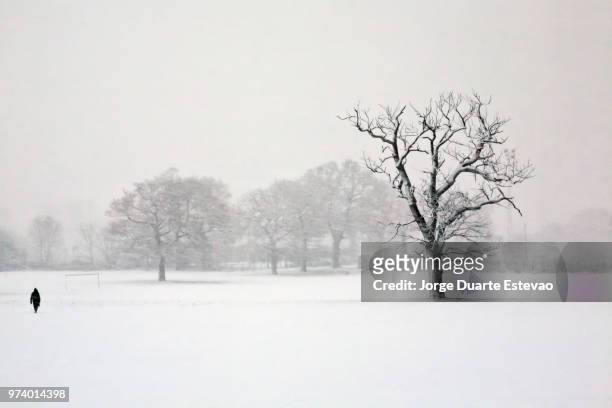 solitude in the snow - jorge duarte estevao stockfoto's en -beelden