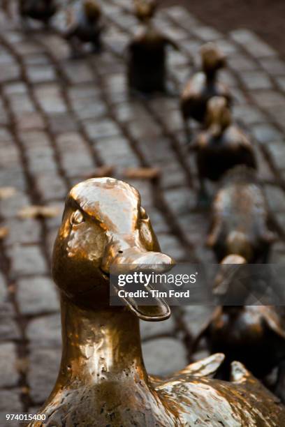 91 Make Way For Ducklings Statue Stock Photos, High-Res Pictures, and