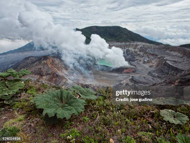 smoke coming out of volcano crater, poas volcano, alajuela, alajuela province, costa rica, south america - alajuela province stock-fotos und bilder