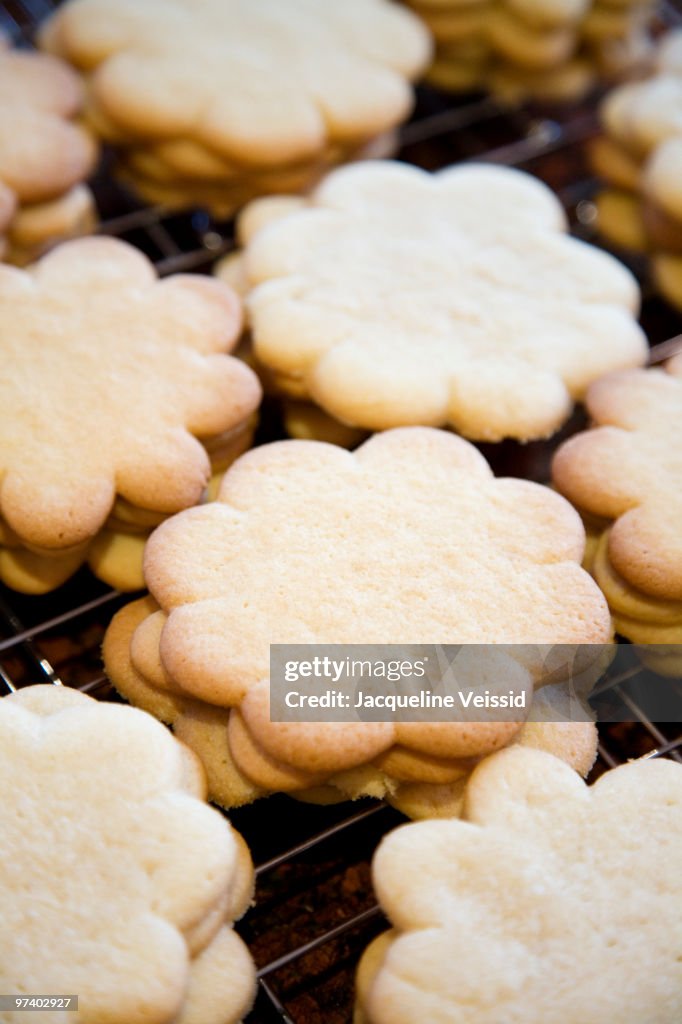 Freshly baked sugar cookies cooling on rack