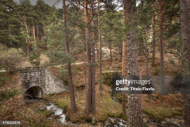 puente del descalzo - descalzo stockfoto's en -beelden