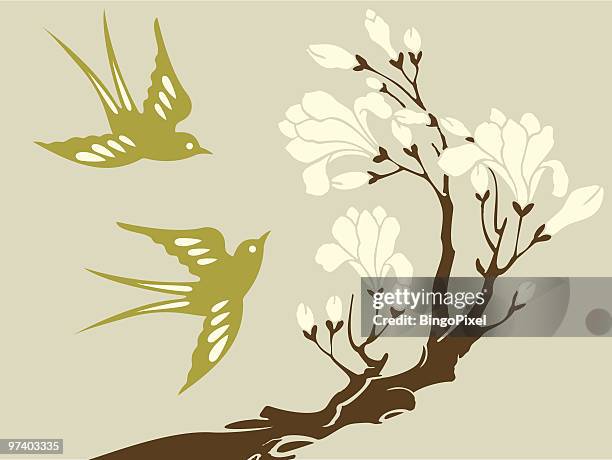 swallows & magnolia - two animals stock illustrations