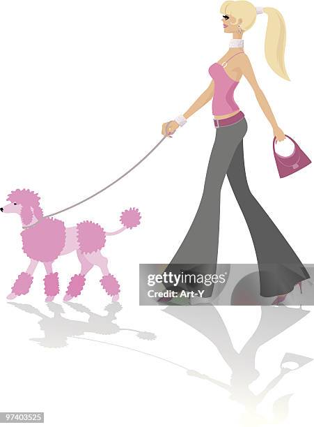 ilustrações, clipart, desenhos animados e ícones de pé-de-rosa de poodle - rabo de cavalo