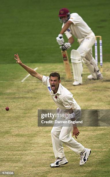 Mark Harrity of South Australia appeals unsuccessfully for the wicket of Andrew Symonds of Queensland during the Pura Cup cricket match played...