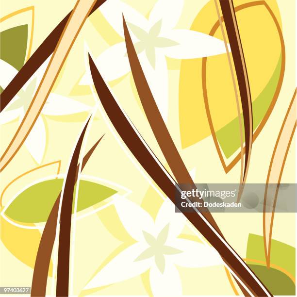 fresh taste of vanilla - vanilla flower vector stock illustrations
