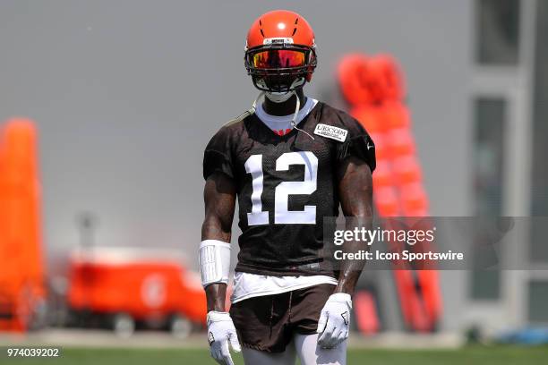 Cleveland Browns wide receiver Josh Gordon participates in drills during the Cleveland Browns Minicamp on June 13 at the Cleveland Browns Training...
