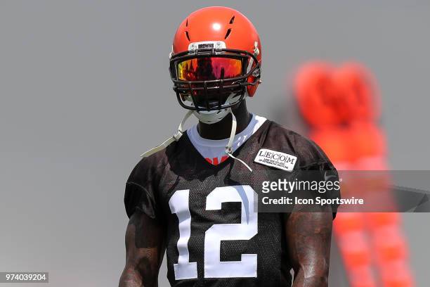 Cleveland Browns wide receiver Josh Gordon participates in drills during the Cleveland Browns Minicamp on June 13 at the Cleveland Browns Training...
