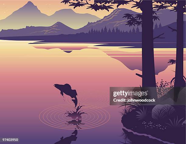 leaping fish - lake stock illustrations