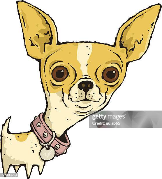 69点のチワワ 正面イラスト素材 Getty Images 69点のチワワ 正面イラスト素材 Getty Images