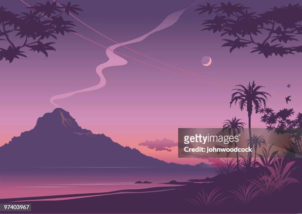 stockillustraties, clipart, cartoons en iconen met tropical sunset illustration in shades of purple - two animals