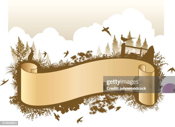 scroll with landscape - galliformes stock illustrations