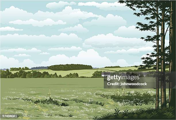 suffolk-wald. - england stock-grafiken, -clipart, -cartoons und -symbole