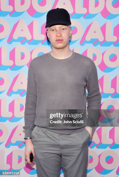 Shaun Ross attends the Aldo LA Nights 2018 at The Rose Room on June 13, 2018 in Venice, California.