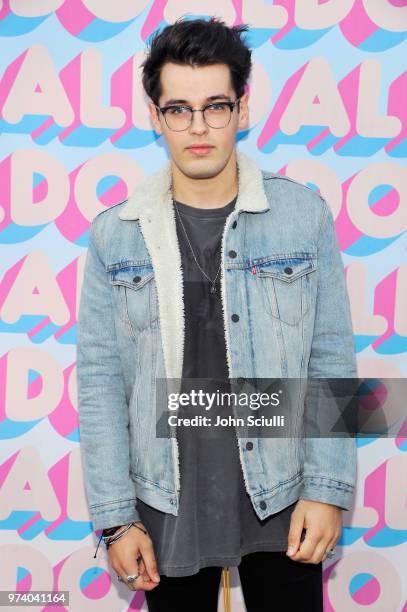 Blake Steven attends the Aldo LA Nights 2018 at The Rose Room on June 13, 2018 in Venice, California.