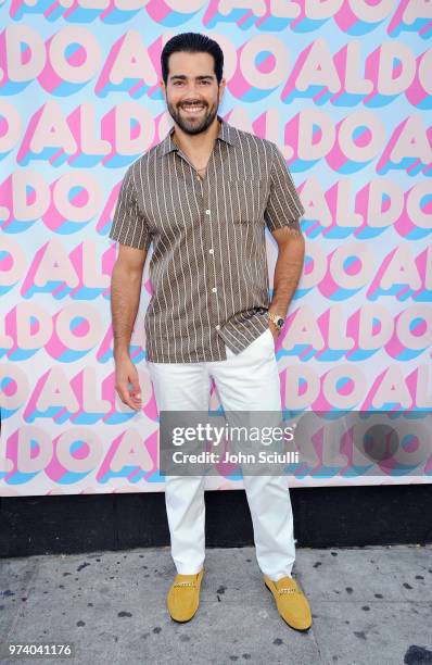 Jesse Metcalfe attends the Aldo LA Nights 2018 at The Rose Room on June 13, 2018 in Venice, California.