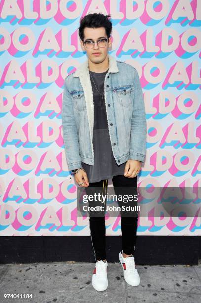 Blake Steven attends the Aldo LA Nights 2018 at The Rose Room on June 13, 2018 in Venice, California.