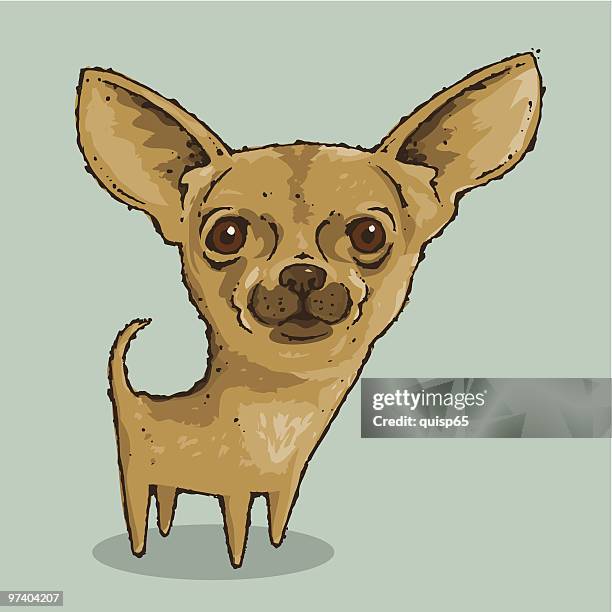 73点のチワワ 正面イラスト素材 Getty Images 73点のチワワ 正面イラスト素材 Getty Images