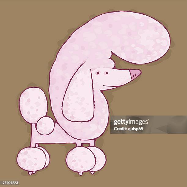 pretty poodle - poodle stock illustrations
